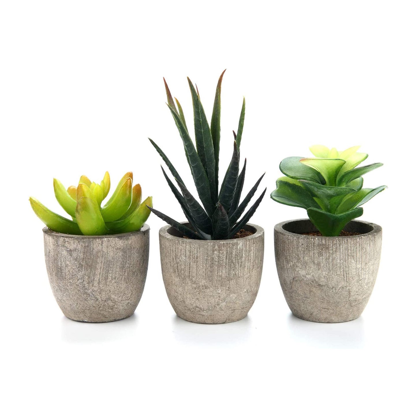 Artificial Plants - Pack of 3