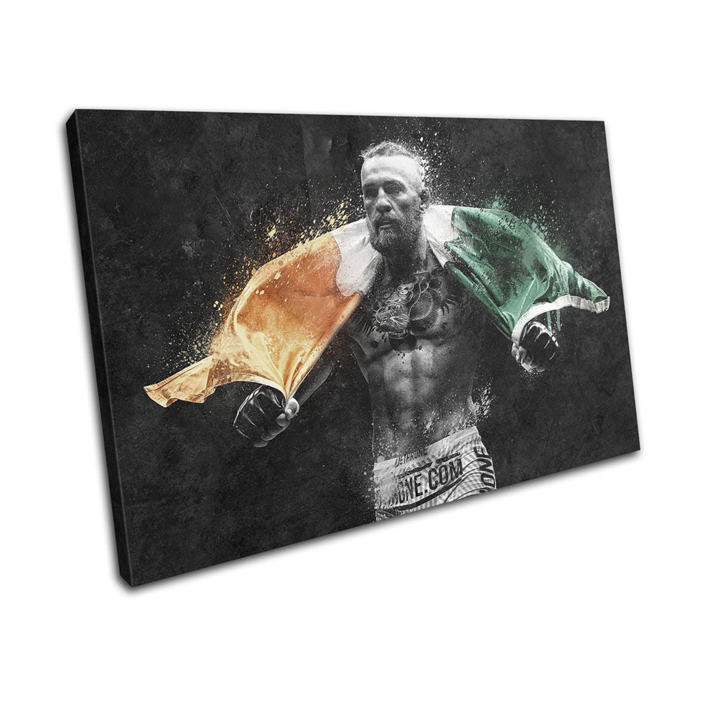 Conor Mcgregor UFC Canvas