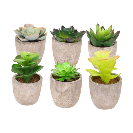 Artificial Plants - Pack of 6