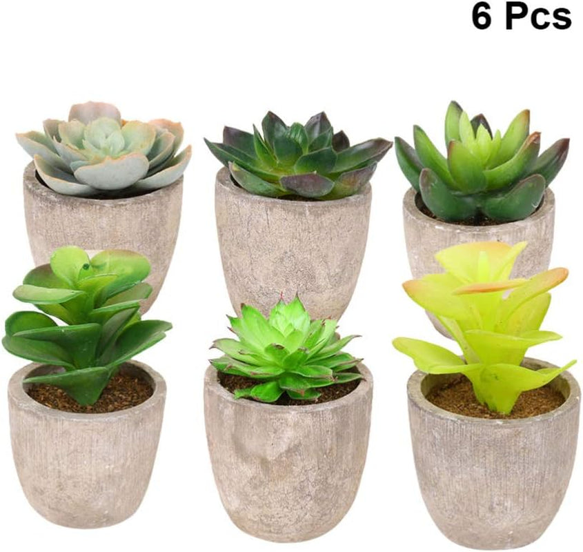 Artificial Succulent Plants Series Plastic Decorative Grass Collection, Pack of 6