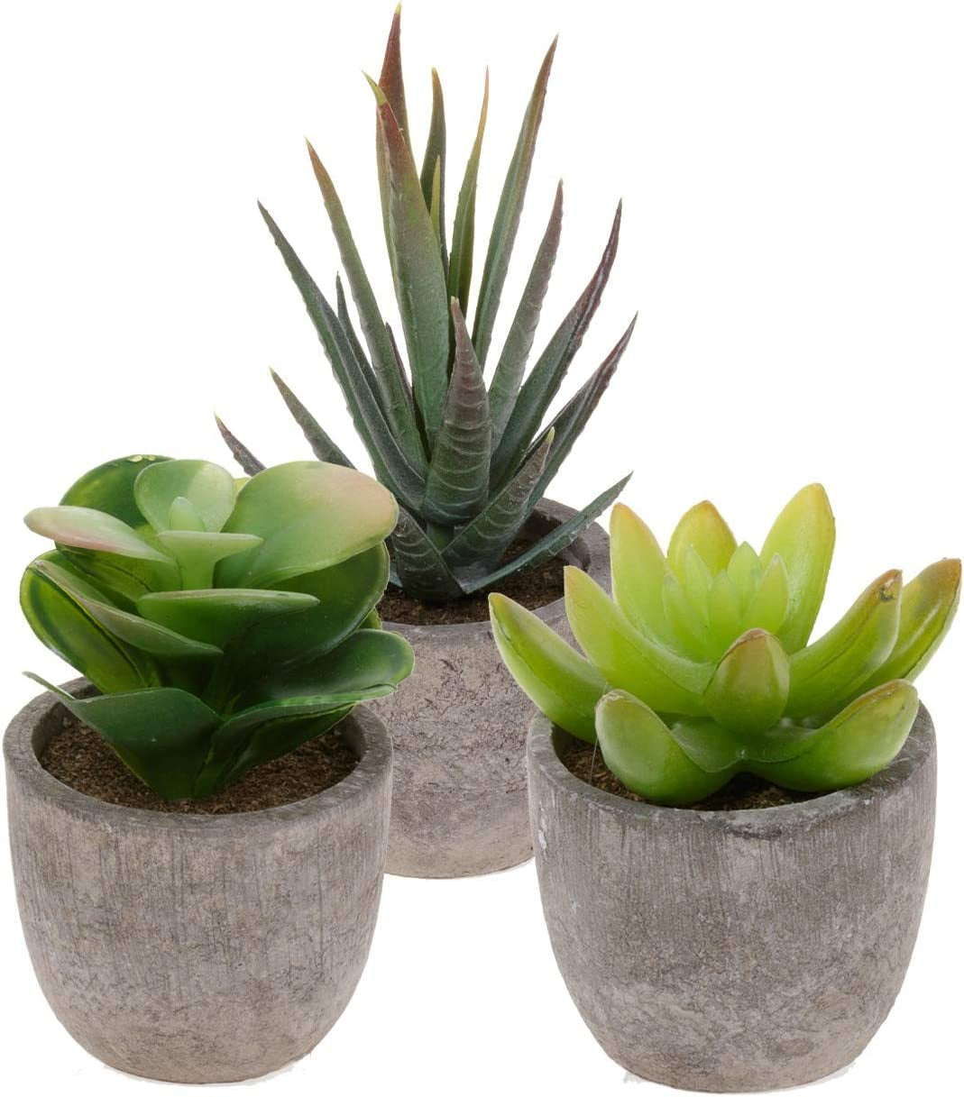 Artificial Succulent Plants Series Plastic Decorative Grass Collection 2 of , Pack of 3