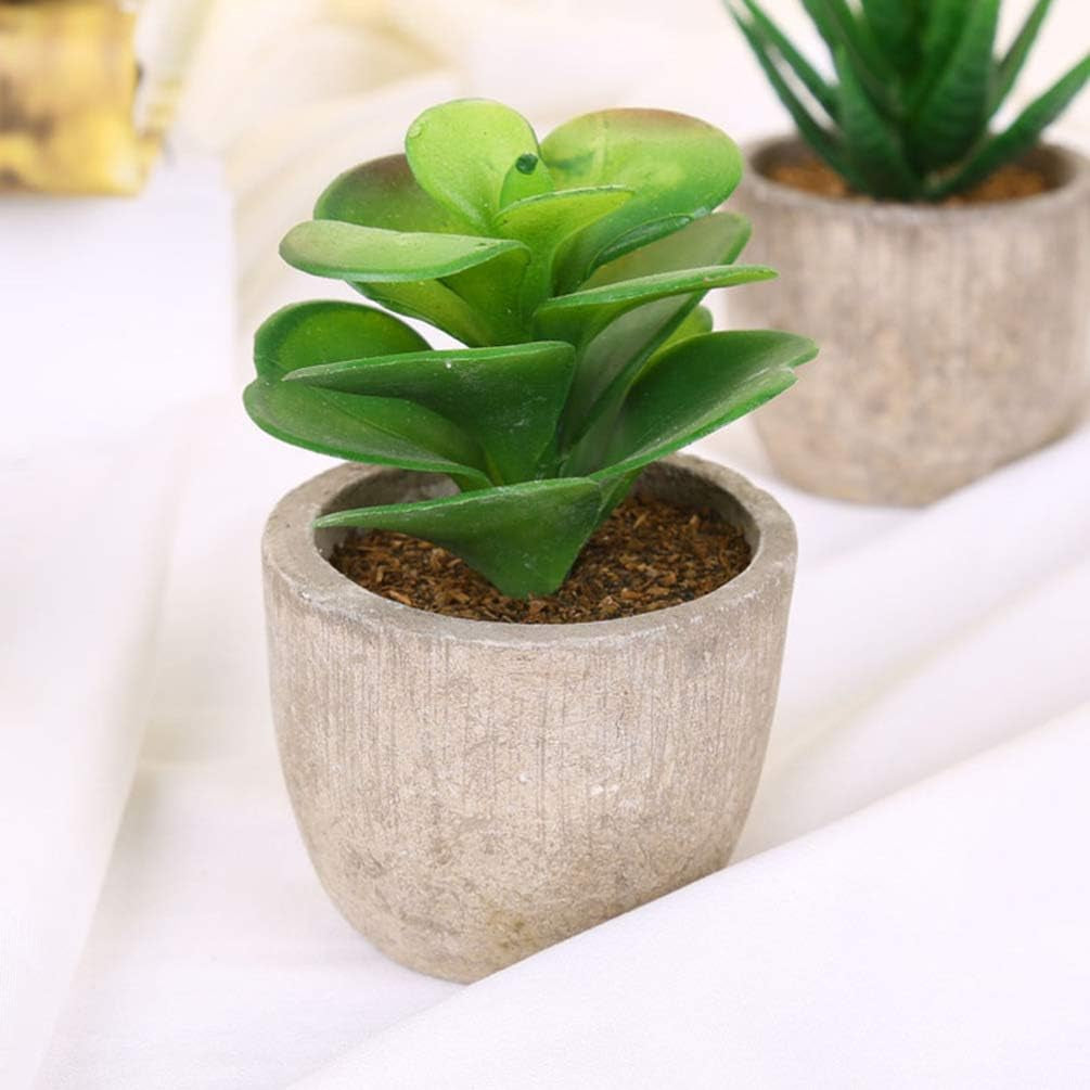 Artificial Succulent Plants Series Plastic Decorative Grass Collection, Pack of 6