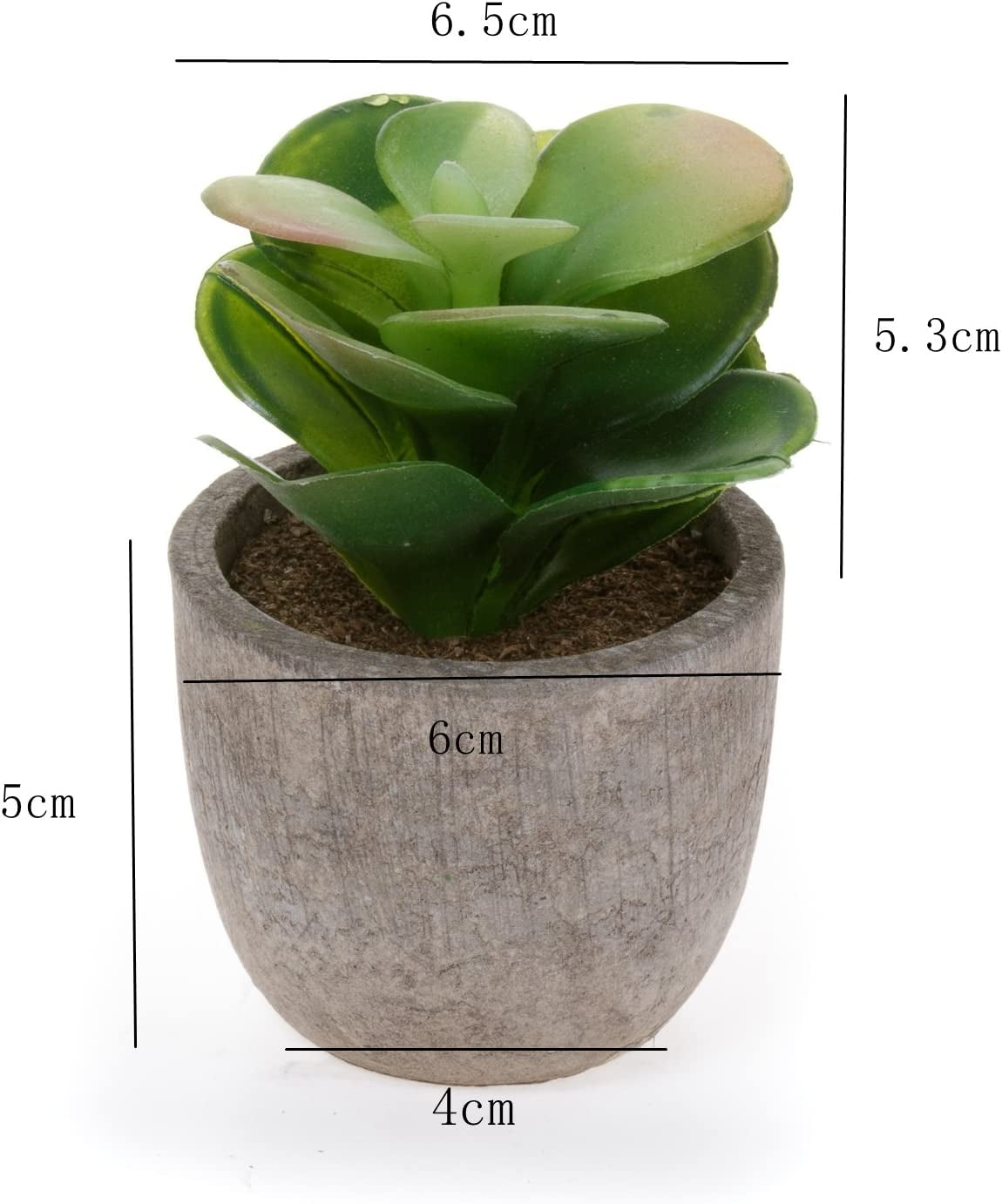 Artificial Succulent Plants Series Plastic Decorative Grass Collection 2 of , Pack of 3