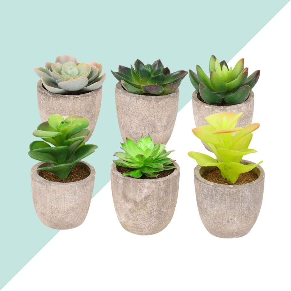 Artificial Succulent Plants Series Plastic Decorative Grass Collection, Pack of 6