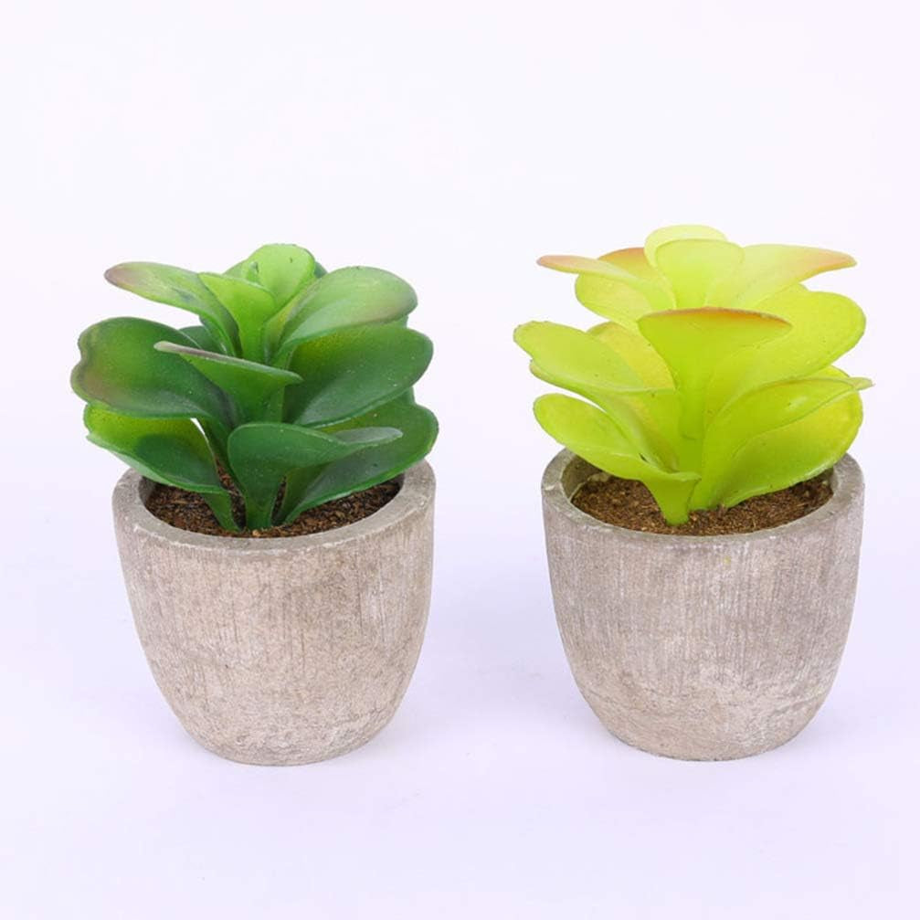 Artificial Succulent Plants Series Plastic Decorative Grass Collection, Pack of 6